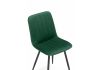 Стул на металлокаркасе Дани зеленый (zd 667) - черный np - 5
