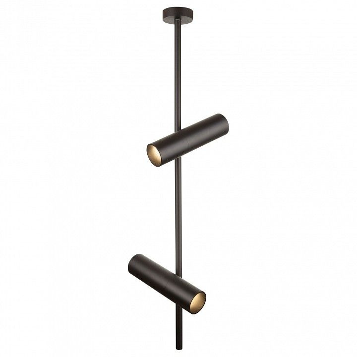 Потолочный светильник Technical C021CL-02B