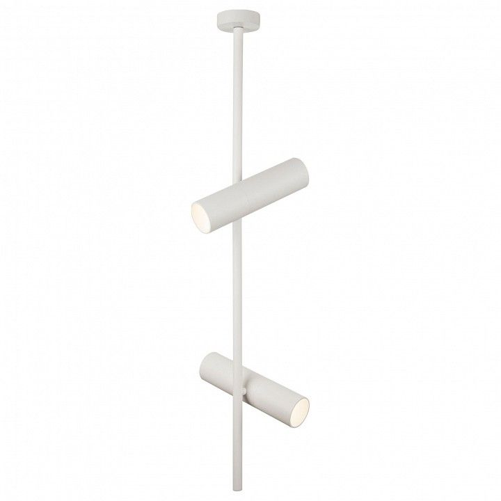 Потолочный светильник Technical C021CL-02W