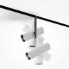 Трековый светильник Technical TR005-4-2X12W-DS-BW - 5
