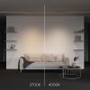 Трековый светильник Technical TR196-3-10W4K-W(N) - 7