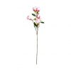 Цветок MAGNOLIA - 2