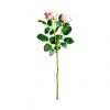 Цветок розы ROSAL в розовом цвете - 2